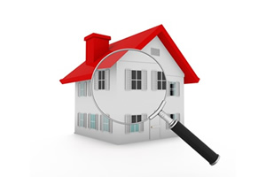 シロアリ駆除・シロアリ予防